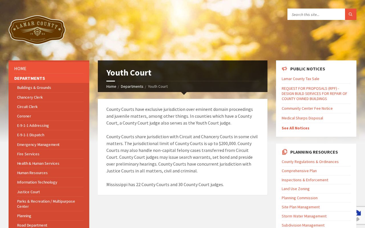 Lamar County criminal docket Youth Court access route