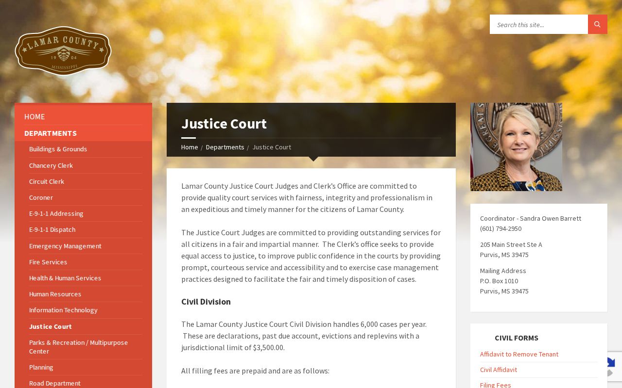 Lamar County traffic court records Justice Court information