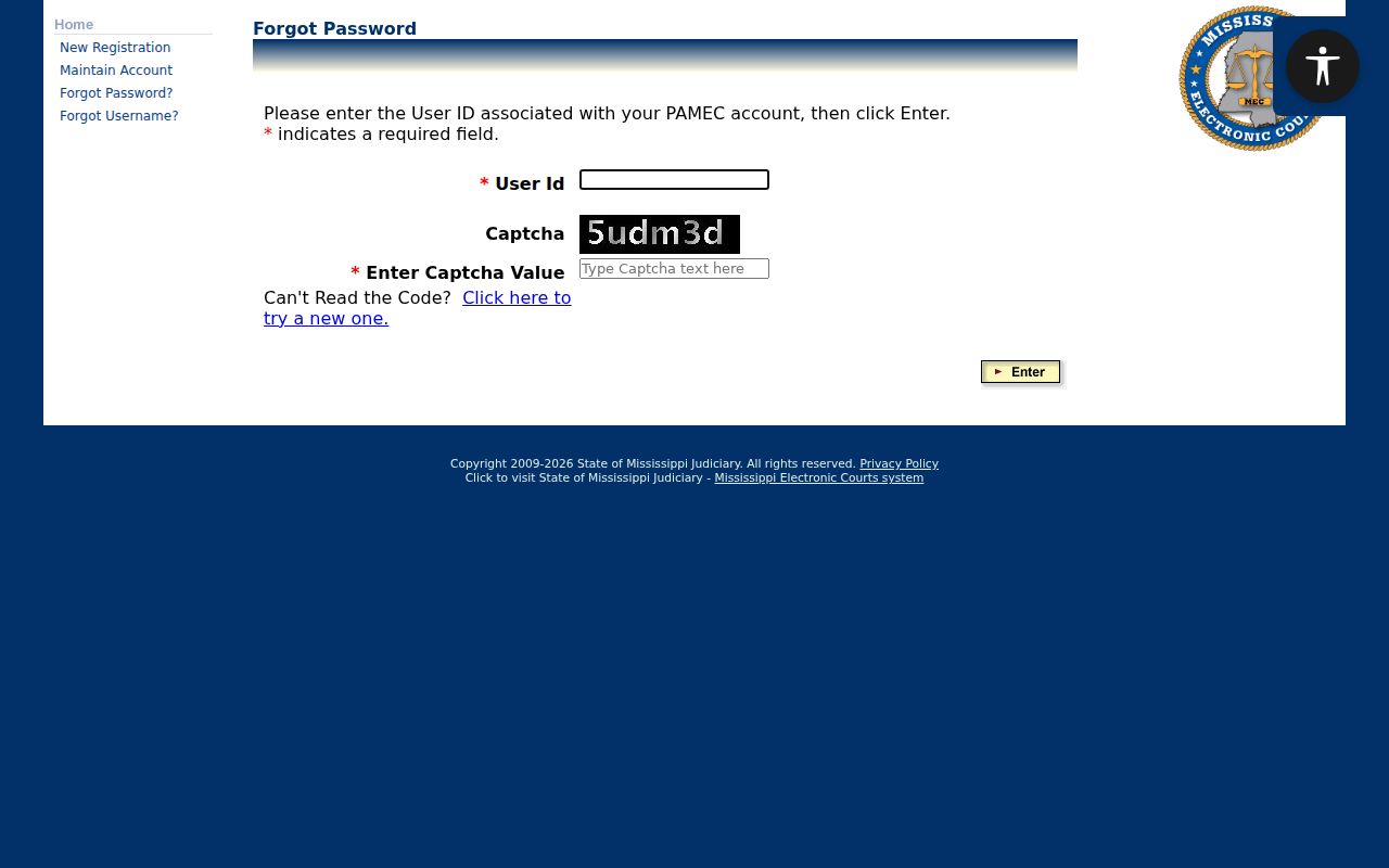 Lamar County traffic court records PAMEC account access boundary